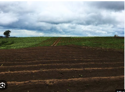Agriculture lot for sale in Tunki Tola, kokar Ranchi